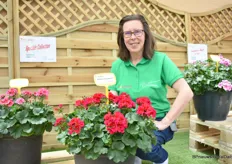 Nancy de Kok, head of administration at Perry van den Haak, has been working there for twenty-one years. She has watched the firm grow into what it is today, and in the process she has her own variety. It is a Zonal, or upright Pelargonium. It is plant with a beautiful full flower, is double-colored and has dark-colored leaves.